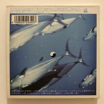 B25348　CD（中古）RECYCLE Greatest Hits of SPITZ　スピッツ_画像2