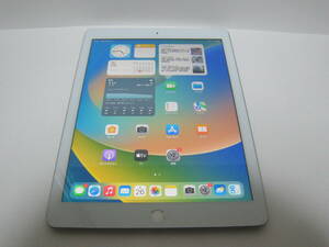 au iPad Wi-Fi+Cellular 32GB 第5世代　No425