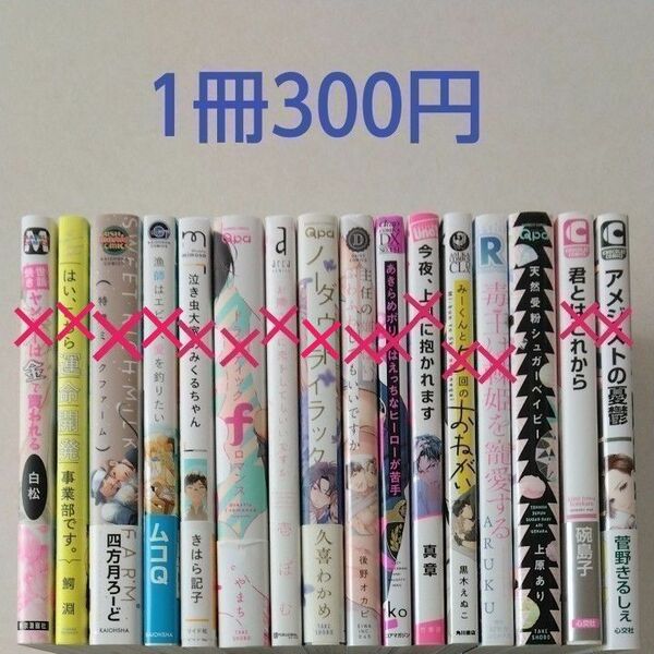 BLコミック／中古／まとめ売り／バラ売り／1冊300円～4冊600円・⑥※残り1冊