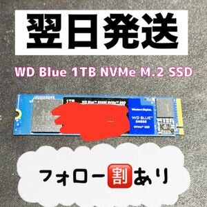 ウエスタンデジタル WD Blue NVMe M.2 SSD 1TB 美品