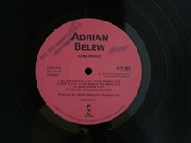 Adrian BELEW★Lone Rhino UK Island オリジナル_画像3
