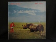 Adrian BELEW★Lone Rhino UK Island オリジナル_画像1