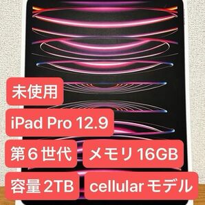 未使用　ﾒﾓﾘ16GB/ストレージ2TB iPad Pro12.9ｲﾝﾁ 第6世代 Cellularモデル　M2ﾁｯﾌﾟ 