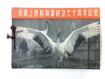 ●古物 昔の「どうぶつえん　あんない」動物園案内チラシ他+おまけ半券 鳥瞰図 当時物 レトロデザイン まとめて/上野動物園 東山動物園_画像3