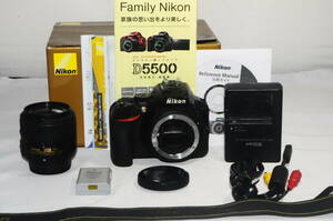 大人気 Nikon ニコン D5600 レンズセット