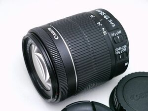 ジャンク扱【動品現状】 Canon EF-S 18-55mm F3.5-5.6 IS STM キャノン キヤノン 標準ズーム