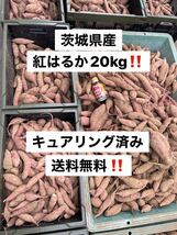 タイムセール　数量限定　甘くなりました！　サツマイモ　さつまいも　紅はるか　20キロ　訳あり　20kg 北海道、沖縄及び離島発送不可_画像1