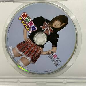  DVD 絶対領域チラリズム② の画像3