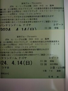 4月14日　中日vs阪神　レフトパノラマB54列ペア