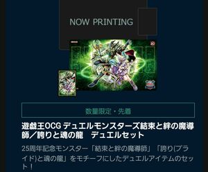 遊戯王結束と絆の魔導師 デュエルセット 誇りと魂の龍 遊戯王OCG プレイマット デュエルフィールド