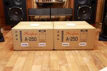 個人出品 　アキュフェーズ　A-250　Accuphase　Mono Power Amp Pair　 純A級　極上美品_画像10