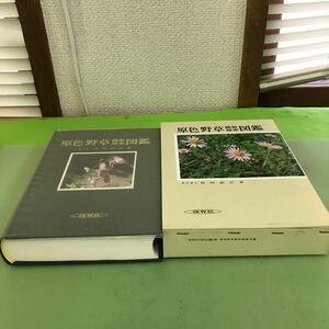 a64-039. color wild grasses observation search illustrated reference book 