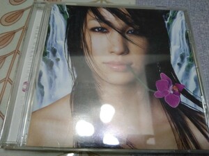 中島美香　CD　LOVE