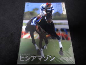 JRA ヒーロー列伝No.43 ヒシアマゾン クリアファイル 新品未開封 2016年来場ポイント