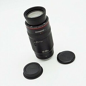 ◇【Canon キヤノン】EF 100-300mm F5.6L 一眼カメラ用レンズの画像7