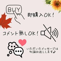 オニヤンマ 4個 虫よけ 虫除け 薬剤不使用 頑丈 安全ピン ぶら下げ 農業 農作業 畑 畑作業 庭いじり 草むしり 釣り キャンプ アウトドア_画像2