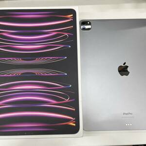 B2144【中古美品】/iPad Pro MNXR3J/A Wi-Fi モデル Apple 12.9インチ 第６世代 スペースグレイ アイパッドプロ アップル タブレット