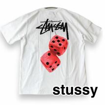 送料無料 stussy ステューシー メンズ レディース WHITE L STUSSY FUZZY DICE TEE Tシャツ 半袖 Tee ホワイト_画像4