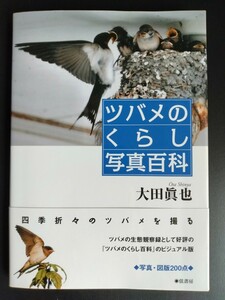 大田眞也【ツバメのくらし写真百科】ビジュアル版●写真集●野鳥●生態観察●巣造り・給餌・巣立ち・越冬・ロゴマーク 他…燕/初版・帯付き