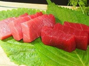 В общей сложности более 1 тыс. Medium Toro ☆ Lean ☆ Negitoro Натуральный тунец! [Бесплатная доставка]