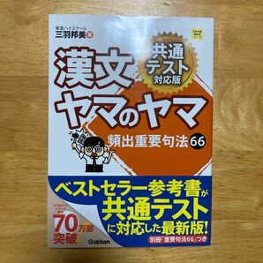 漢文ヤマのヤマ （大学受験超基礎シリーズ） （共通テスト対応版） 三羽邦美／著