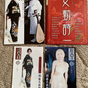レア 椎名林檎 リーフレット