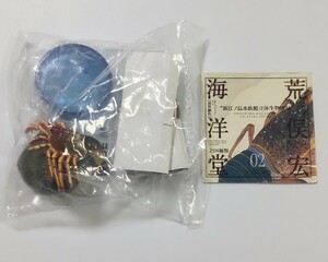 02. spiny lobster pavilion inside limitation version Kaiyodo new .no island aquarium to ..1 bottle cap figure inspection ) not for sale aquarium solid living thing llustrated book chocolate egg chocolate Q