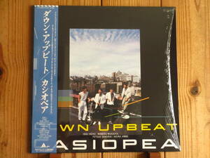 Casiopea / カシオペア / Down Upbeat / ダウン/アップビート / Alfa / ALR-28063 / 帯付