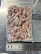 Ω国産冷凍マウス、ピンクS 50匹セットΩ（限定品となります）_画像2