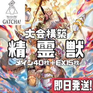 即日発送！大会用　霊獣　デッキ　遊戯王　共命の翼ガルーラ　S:Pリトルナイト