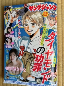 ●週刊ヤングジャンプ 2024年3月28日号 No.15 頓知気さきな 楡井希実 天野レナ 他 懸賞応募券他 他 全て切取無