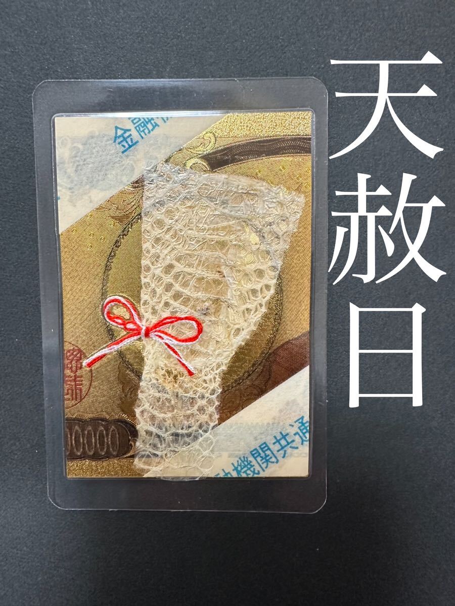 White snake's shed skin ☆ Snake amulet for those born in the year of the snake ☆ Birth canal ☆ Valuable [Tenshabi] 16, Housing, interior, Handmade items, others