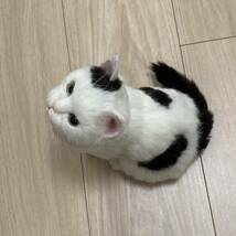 HIKO 羊毛フェルト 白 猫 子猫 ハンドメイド 置き物_画像6