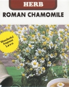 ＜ハーブの種＞約600粒　ローマンカモミール　0.2ｍｌ　カモミル　カミツレ　リンゴの香り　４種郵便にて発送