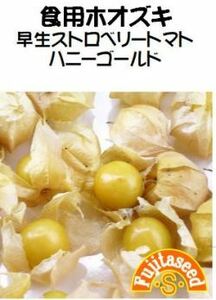 ＜野菜の種＞食用ほおずき　ハニーゴールド　３０粒　早生ほうずき コンパクト　プランター栽培　４種郵便で発送