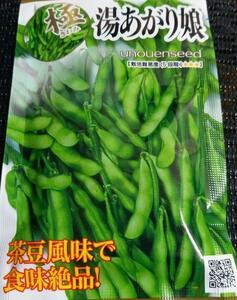 未開封＜野菜の種＞エダマメ　湯あがり娘　25ｍｌ　枝豆の種　えだまめのタネ