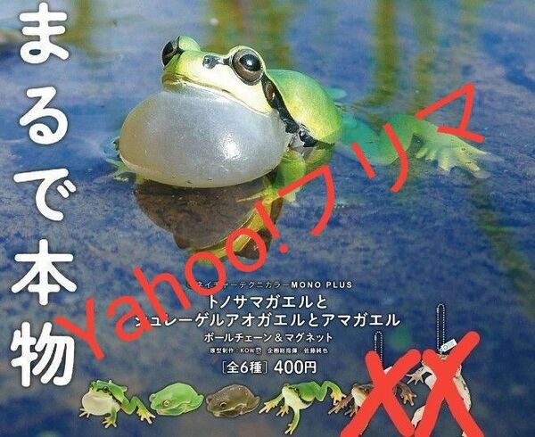 トノサマガエルとシュレーゲルアオガエルとアマガエル ガシャポン ガチャ ガチャガチャ いきもの いきもん 大図鑑 フィギュア