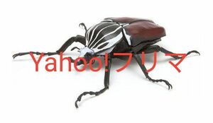 いきもの大図鑑　かぶとむし03 ガチャ　ガシャポン　生き物　いきもん