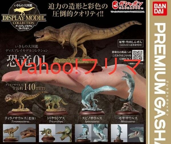 いきもの大図鑑　ディスプレイモデルコレクション 恐竜01 プレミアム　ガチャ　いきもん　ガシャポン　ガチャガチャ