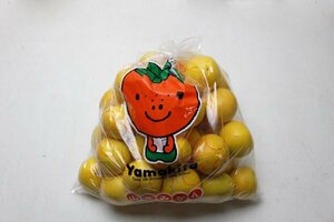 【限定2箱】高知県山北産 「小夏」 S～Mサイズ 約5kg 家庭用 1円スタート