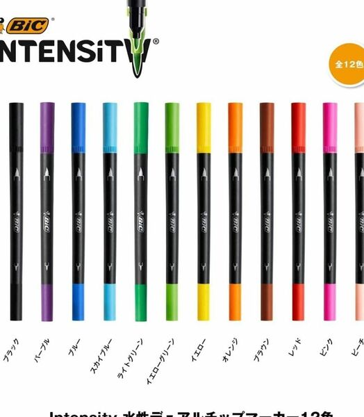 水性 ペン 筆ペン 塗り絵 カラー セット Intensity デュアルチップ マーカー 12色 