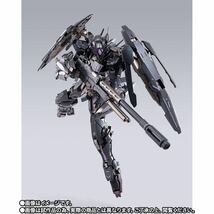 1円〜【新品未使用】プレミアムバンダイ限定 METAL BUILD ガンダムアストレアTYPE-Xフィンスターニス (『機動戦士ガンダム00』メタルビルド_画像9