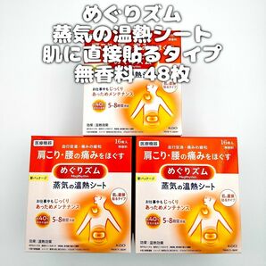 花王 めぐりズム 蒸気の温熱シート 肌に直接貼るタイプ 無香料