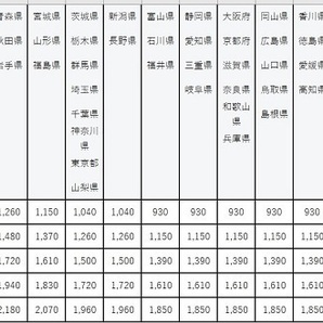 ろ材 ろ過材 Sサイズ 20キロ  クオーツリング 濾過材 バクテリア 水質浄化 水質調整 淡水 海水の画像4