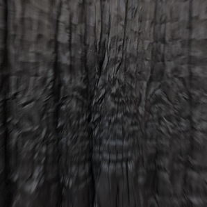 イッセイミヤケ ISSEYMIYAKE ロングスカート サイズ02 M - 黒 レディース FETE/プリーツ 美品 ボトムスの画像6