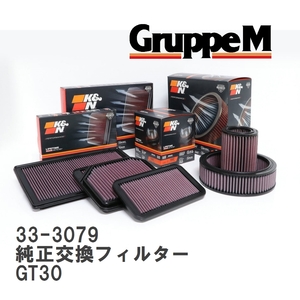 【GruppeM】 K&N 純正交換フィルター BMW X6 GT30 19-20 [33-3079]