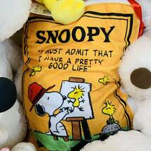 XX37260 まとめ売り PEANUTS ピーナッツ SNOOPY スヌーピー ぬいぐるみ マスコット_画像7