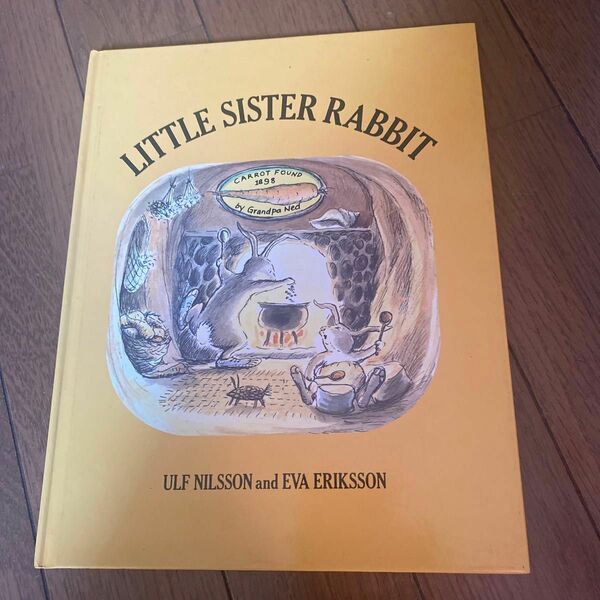 Little sister rabbit 