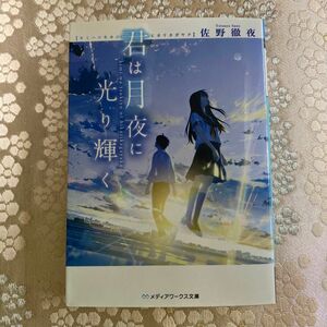 君は月夜に光り輝く （メディアワークス文庫　さ４－１） 佐野徹夜／〔著〕