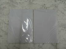 ☆ TomoeRiver トモエリバー LOOSE SHEETS B5 100枚×2冊 ホワイト 文房具 未使用品 1円スタート ☆_画像2